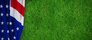 Amerikan Ulusal Bayrağı 