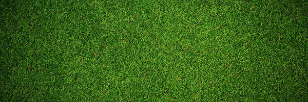 Erba verde tappeto erboso texture — Foto Stock