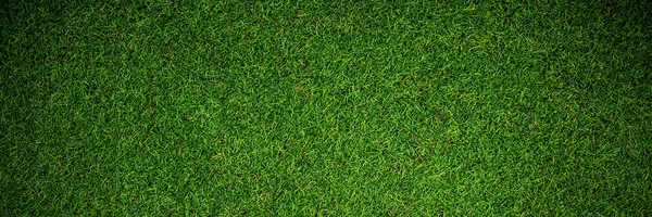 Close up view of astro turf — Stock Photo, Image