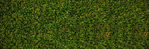 Textura de césped de hierba verde — Foto de Stock