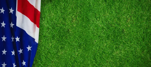 Amerikan Ulusal Bayrağı 