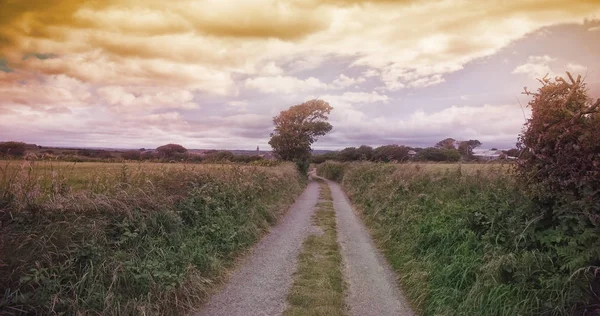 Feldweg inmitten einer grünen Landschaft — Stockfoto