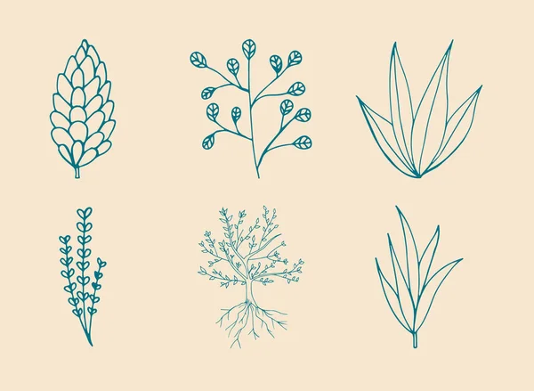Σύνολο των εικονίδιο φυτά — Διανυσματικό Αρχείο