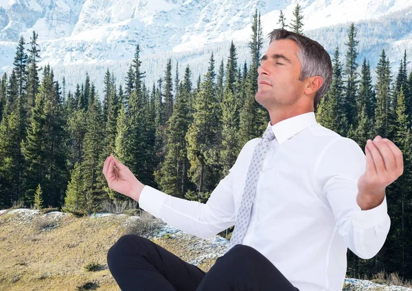 Ağaçlar karşı meditasyon iş adamı 