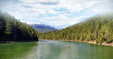 nehir orman ortasında görünümünü