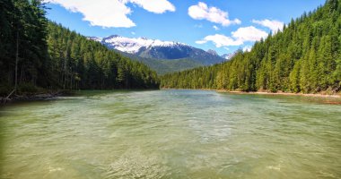  nehir orman dağ karşı ortasında 