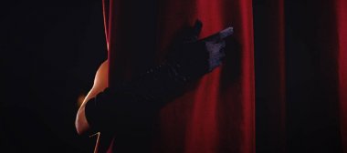 Perdenin arkasındaki eldiven el