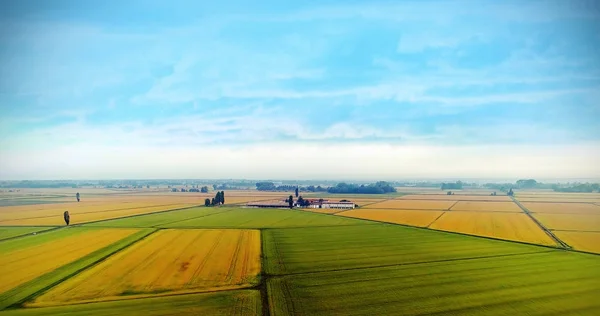 Himmel Blick auf gelbes und grünes Grasfeld — Stockfoto