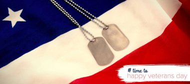 Gaziler günü için logo