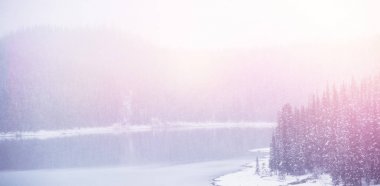 Çam ağaçları göl üzerinde kar kaplı