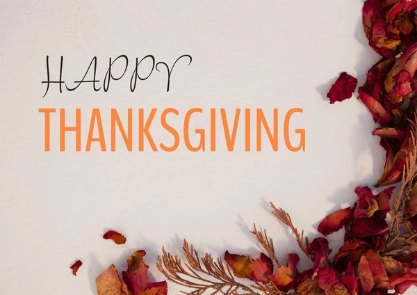 Happy thanksgiving text — Stock Photo, Image