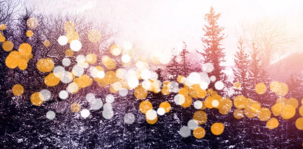 Bokeh와 겨울 나무 — 스톡 사진