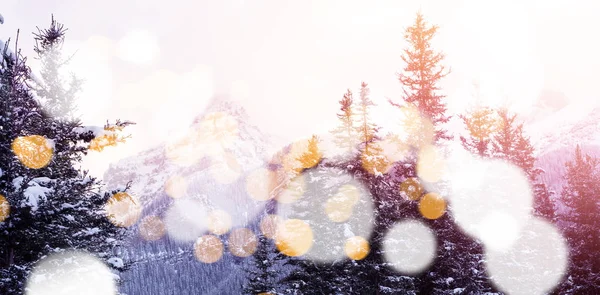 Intreepupil lichten tegen sneeuw bedekt bomen — Stockfoto