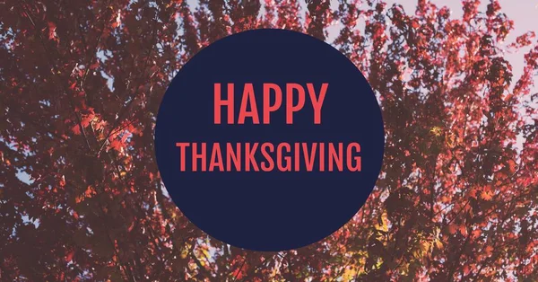 Happy thanksgiving text with trees — Stock Photo, Image