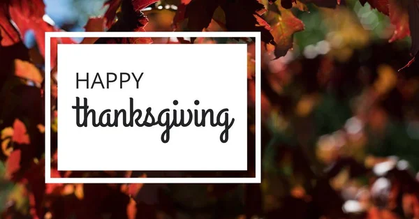 Gelukkige Thanksgiving SMS — Stockfoto