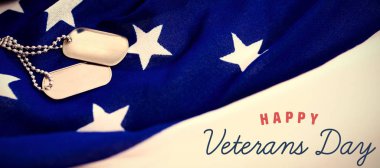 Gaziler günü için logo