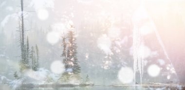 Ormandaki ağaçlar ile ön planda bokeh