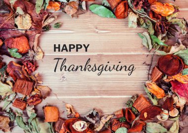 Şükran Günü Mesajın kutlu olsun. 