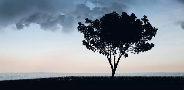 Vista da árvore no por do sol — Fotografia de Stock