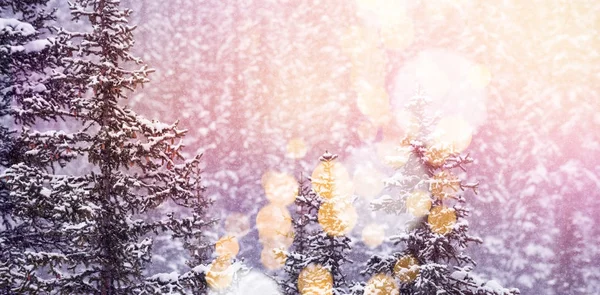 Intreepupil lichten tegen sneeuw bedekt bomen — Stockfoto