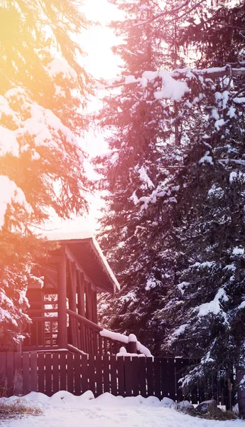 Ferienhaus inmitten schneebedeckter Bäume — Stockfoto