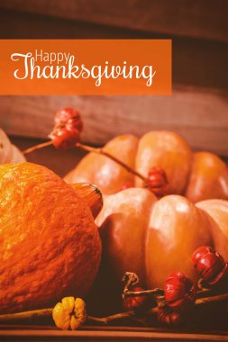 Şükran Günü tebrik metin 