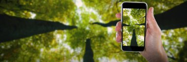 kırpılan el telefon tutarak