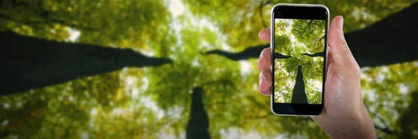 Beskurna hand som håller telefonen — Stockfoto