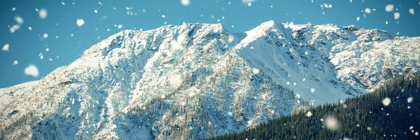 Krytá hora sněhu v lese — Stock fotografie