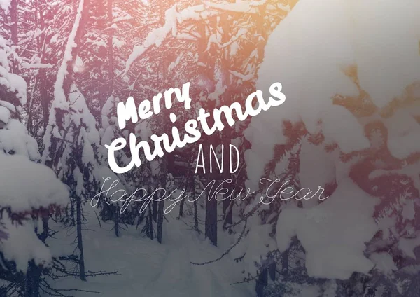 Frohe Weihnachten und ein gutes neues Jahr Text — Stockfoto