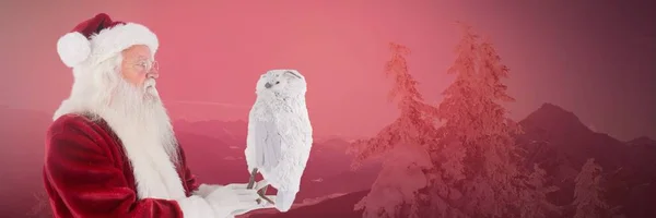 フクロウと冬のサンタ クロース — ストック写真