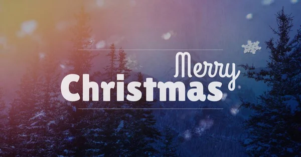 Merry Christmas text on snow background — Stock Photo, Image