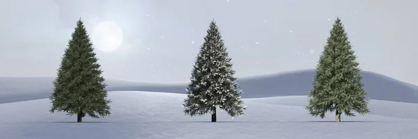 Χριστουγεννιάτικα δέντρα στο χειμερινό τοπίο — Φωτογραφία Αρχείου