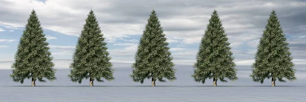Christmas trees in winter landscape — Stock Photo, Image