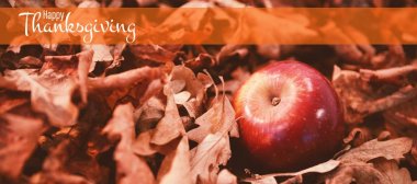 Mutlu Şükran günü metin