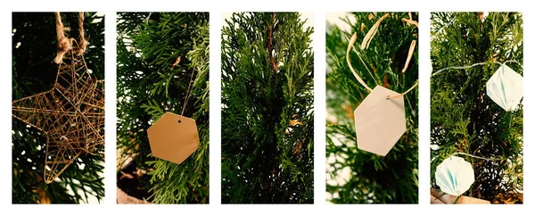 Şenlikli bir şekilde dekore edilmiş Noel ağaçları — Stok fotoğraf