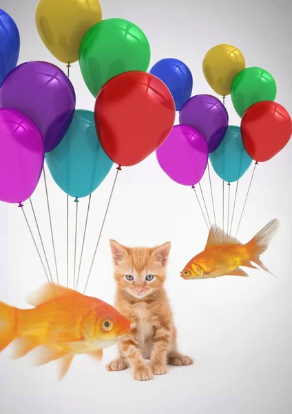 Gatito viendo peces atados a globos — Foto de Stock