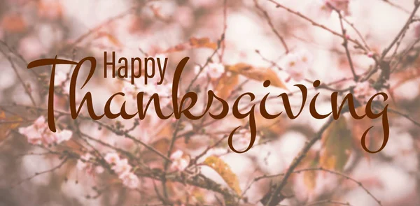 Happy thanksgiving day tekst — Stockfoto