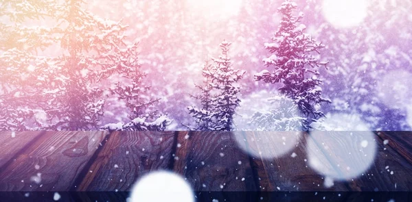 Schnee bedeckte Bäume im Winter — Stockfoto