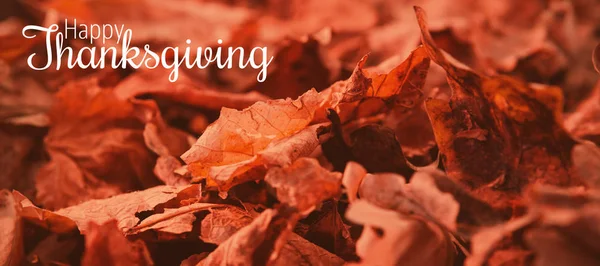 Thanksgiving begroeting — Stockfoto