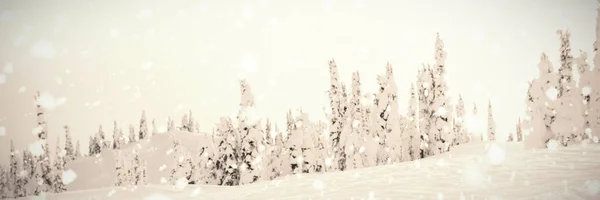 산 눈의 코팅 — 스톡 사진