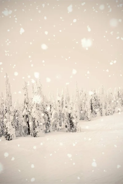 Hegyi bevont hó — Stock Fotó