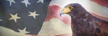 Amerikan bayrağı karşı altın kartal