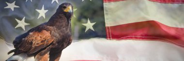 buruşuk Amerikan bayrağı karşı altın kartal