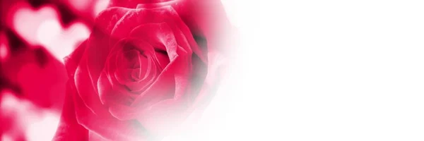 Digitaler Verbund Von Valentinen Liebe Herzen Hintergrund — Stockfoto