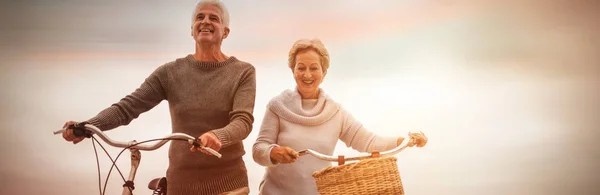 Üst düzey çift ile onların bisiklet sürüş sahilde sahip