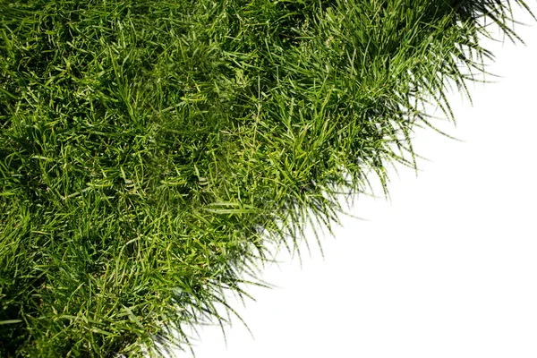 White Line Diagonal Grass — Stock Photo, Image