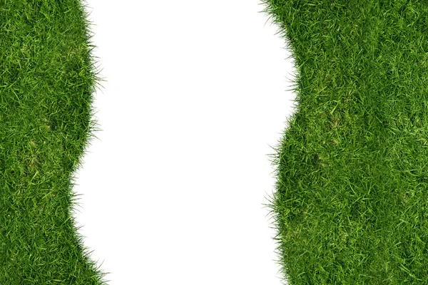 Grass White Background — Stock Photo, Image