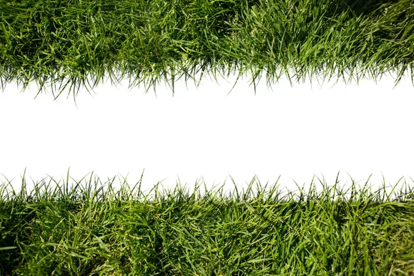 White Line Crossing Grass — Stock Photo, Image