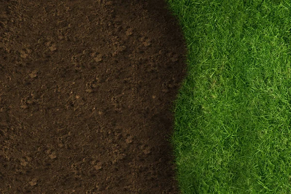 Half Green Grass Brown Earth — Stock Photo, Image